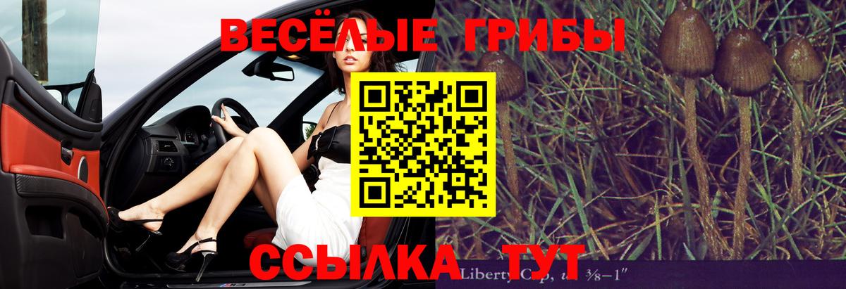 Домодедово  закладка  Вход с VPN  Галлюциногенные грибы MAGIC MUSHROOMS  Псилоцибиновые грибы прущие грибы 